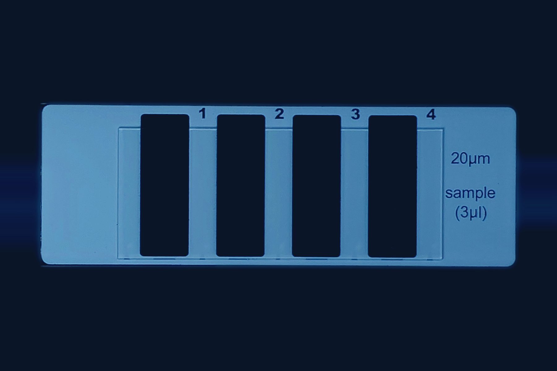 Depthslide 4-chamber counting chamber slide, front view, 20&micro;m depth