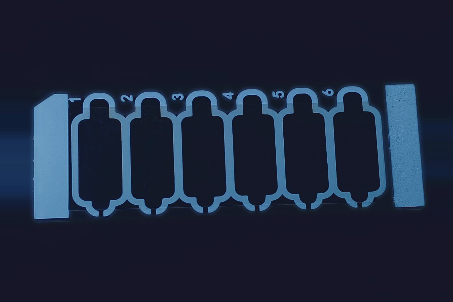 Depthslide 6-chamber counting chamber slide, front view, 20&micro;m depth