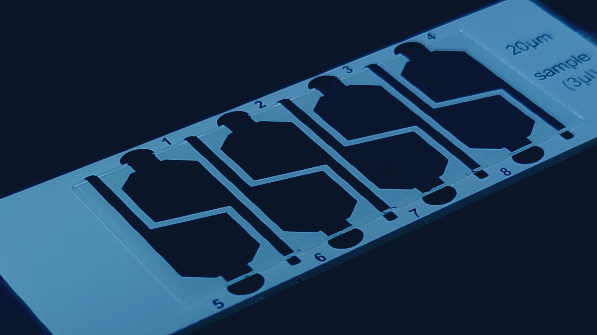 Macro close-up of Depthslide 8-chamber counting chamber slide showing chamber structure